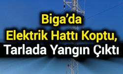 Biga’da elektrik hattı koptu, tarlada yangın çıktı