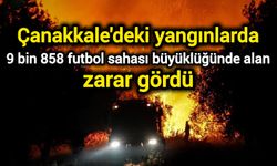 Çanakkale'deki yangınlarda 9 bin 858 futbol sahası büyüklüğünde alan zarar gördü