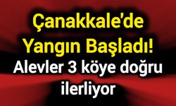 Çanakkale'de Yangın Başladı! Alevler 3 köye doğru ilerliyor