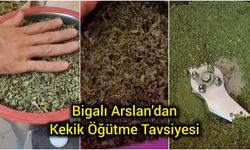 Bigalı Arslan’dan Kekik Öğütme Tavsiyesi
