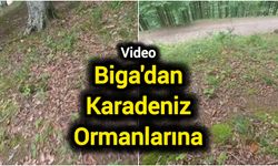 Biga'dan Karadeniz Ormanlarına