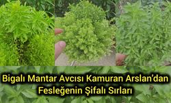 Bigalı Mantar Avcısı Kamuran Arslan’dan Fesleğenin Şifalı Sırları