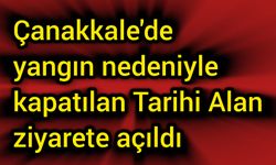 Çanakkale'de yangın nedeniyle kapatılan Tarihi Alan ziyarete açıldı