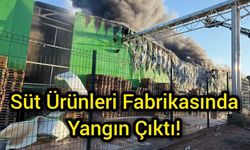 Süt ürünleri fabrikasında yangın çıktı!