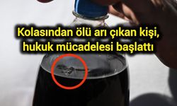 Kolasından ölü arı çıkan kişi, hukuk mücadelesi başlattı