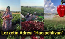 Lezzetin Adresi “Hacıpehlivan”