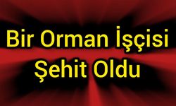 Bir Orman İşçisi Şehit Oldu, Dört İşçi Yaralandı