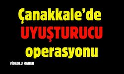 Çanakkale’de yasaklı madde operasyonu