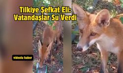 Tilkiye Şefkat Eli: Vatandaşlar Su Verdi