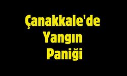 SON DAKİKA: Çanakkale'de Yangın Paniği