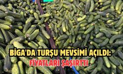 Biga'da Turşu Mevsimi Açıldı: Fiyatları Şaşırttı