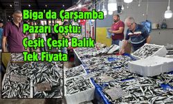 Biga'da Çarşamba Pazarı Coştu: Çeşit Çeşit Balık Tek Fiyata