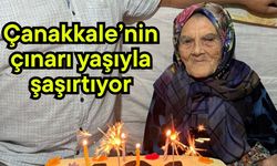 Çanakkale’nin çınarı yaşıyla şaşırtıyor