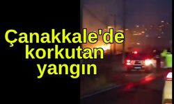 Çanakkale'de korkutan yangın