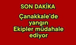 Çanakkale'de yangın, ekipler müdahale ediyor