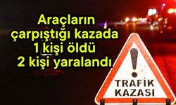 Araçların çarpıştığı kazada 1 kişi öldü 2 kişi yaralandı