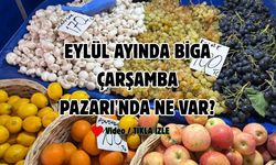Eylül Ayında Biga Çarşamba Pazarı'nda ne var?