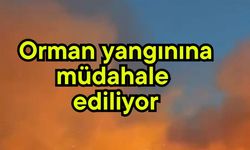 Orman yangınına müdahale ediliyor
