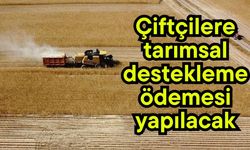 Çiftçilere tarımsal destekleme ödemesi yapılacak!