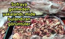 Sofraya gelmeden yakalandı, mide bulandıran görüntüler (Video)