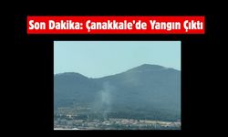 Son Dakika: Çanakkale’de Yangın Çıktı