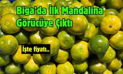 Biga’da İlk Mandalina Görücüye Çıktı