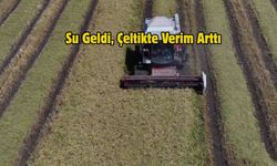 Su Geldi, Çeltikte Verim Arttı