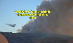 Çanakkale'de tarım arazisinde çıkan yangın kontrol altına alındı