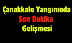 Çanakkale Yangınında Son Dakika Gelişmesi