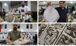 Ege'de sezonu açan balıkçılar avdan umutla döndü