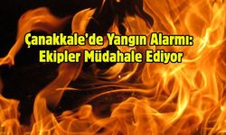 Çanakkale’de Yangın Alarmı: Ekipler Müdahale Ediyor
