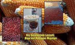 Kış Gecelerinin Lezzeti: Biga’nın Patlayan Mısırları