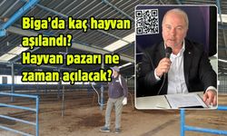 Biga’da kaç hayvan aşılandı? Hayvan pazarı ne zaman açılacak?