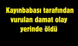 Kayınbabası tarafından vurulan damat olay yerinde öldü