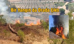 Bir Yangın da Orada Çıktı