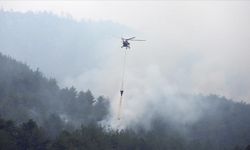 Orman Yangınına Müdahale Devam Ediyor