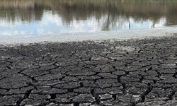Dünya Meteoroloji Örgütü: Dünyanın su kaynakları giderek artan bir baskı altında
