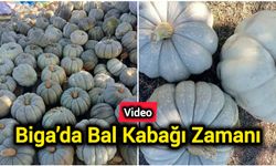 Biga’da Bal Kabağı Zamanı