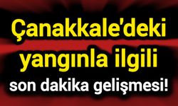 Çanakkale'deki yangınla ilgili son dakika gelişmesi!