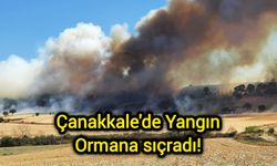 Çanakkale'de Yangın: Ormana sıçradı!