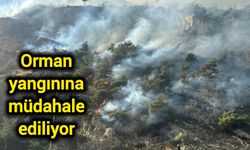 Orman yangınına müdahale ediliyor!
