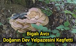 Bigalı Avcı Doğanın Dev Yelpazesini Keşfetti