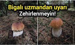 Bigalı uzmandan uyarı: Zehirlenmeyin!
