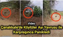 Çanakkale’de Köylüler Ayı Yavrusu ile Karşılaşınca Panikledi