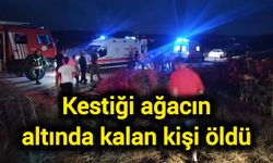 Kestiği ağacın altında kalan kişi öldü