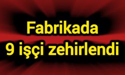Fabrikada 9 işçi zehirlendi