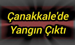 Çanakkale'de Yangın Çıktı