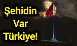 Şehidin Var Türkiye!