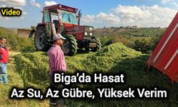Biga’da Hasat: Az Su, Az Gübre, Yüksek Verim