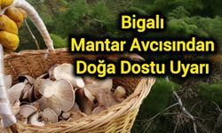 Bigalı Mantar Avcısından Doğa Dostu Uyarı
